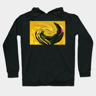 Swirling Colors Hoodie